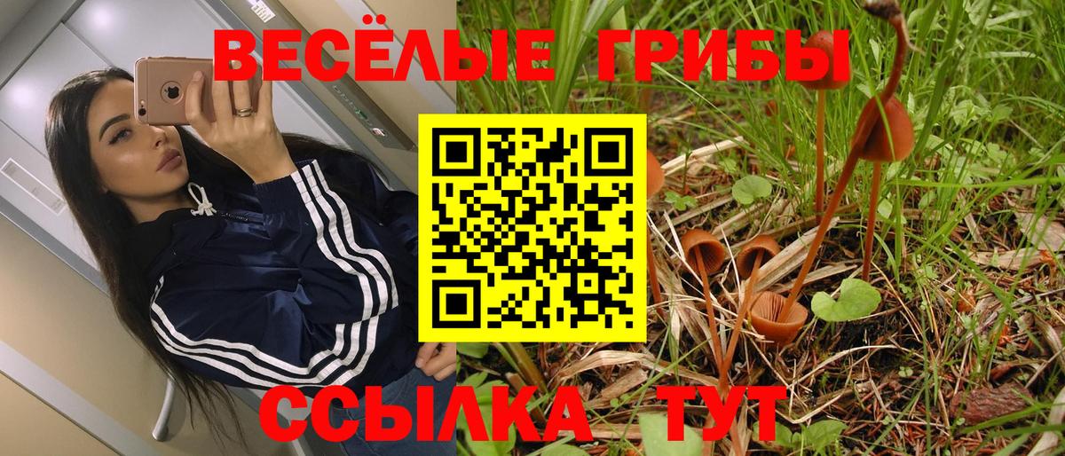 Галлюциногенные грибы прущие грибы Соликамск