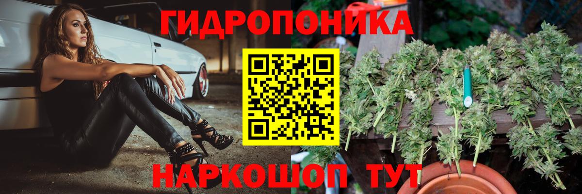 Бошки марихуана гибрид Соликамск